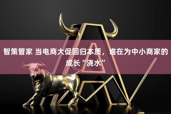 智策管家 当电商大促回归本质，谁在为中小商家的成长“浇水”