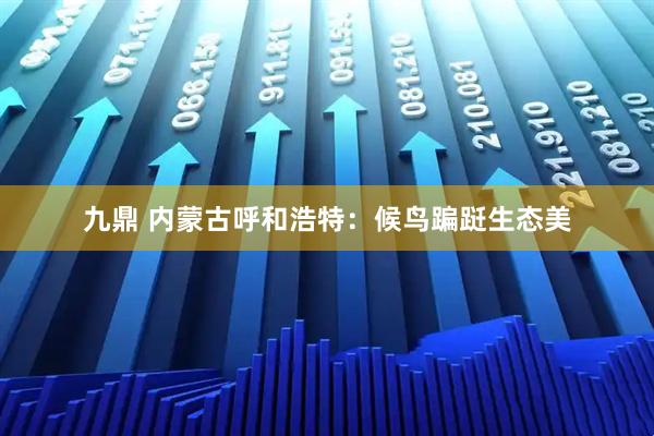 九鼎 内蒙古呼和浩特:候鸟蹁跹生态美