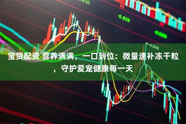 宝贷配资 营养满满，一口到位：微量速补冻干粒，守护爱宠健康每一天