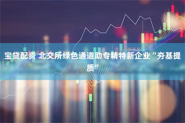 宝贷配资 北交所绿色通道助专精特新企业“夯基提质”