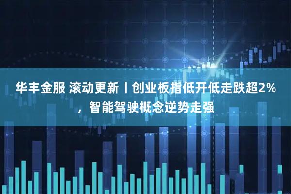 华丰金服 滚动更新丨创业板指低开低走跌超2%,智能驾驶概念逆势走强