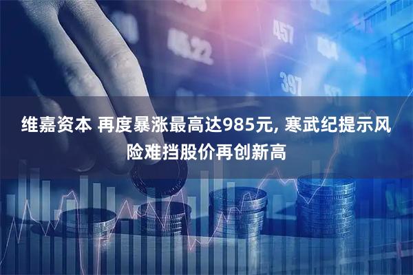 维嘉资本 再度暴涨最高达985元, 寒武纪提示风险难挡股价再创新高