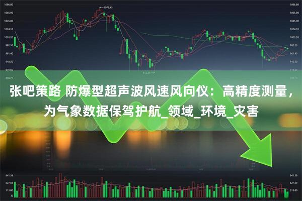 张吧策路 防爆型超声波风速风向仪：高精度测量，为气象数据保驾护航_领域_环境_灾害